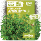 KVITER 500 Lemon Thyme Seeds for Planting (Thymus Pulegioides) – Wild Creeping Thyme Seeds Ground Cover, Aromatic & Drought-Tolerant Herbaceous Flower – Ideal for Walls, Fences & Herb Garden