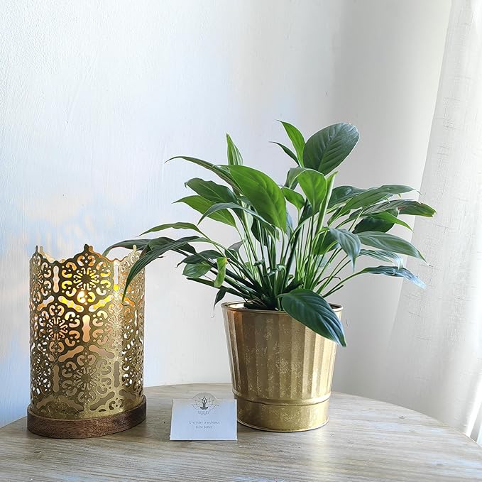 Hosley Metal Planters Pack of 2, Ideal Farmhouse Decor for Floral Arrangements Weddings, Gift Special Events Parties Outdoor Planters Gold 5" Dia x 4.8" H