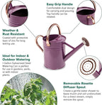 Gardman R34881 1 Gallon Watering Can, Deep Violet