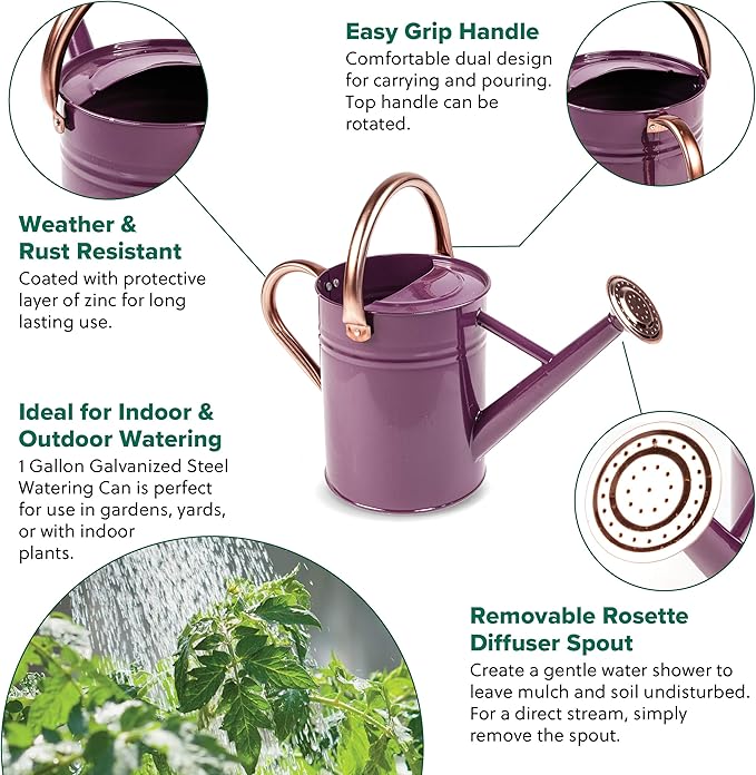 Gardman R34881 1 Gallon Watering Can, Deep Violet