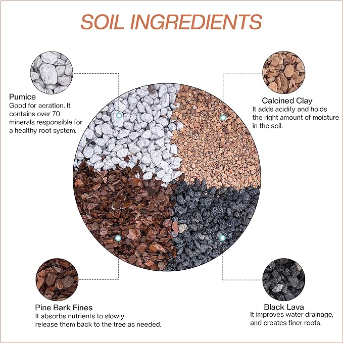 Bonsai Soil by The Bonsai Supply – 2qts. Professional Bonsai Soil Micro Mix | Ready to use| Great for All Bonsai Tree Varieties.