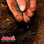 Jobe's Organics 09627 Organic Fertilizer, 4 lb (Pack of 2)