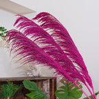 Hot Pink Pampas Grass for Floor Vase Decor, Tall Natural Pampas Grass, Large Dried Pompas Floral, Elegant Feather Flowers for Wedding Living Room Decorations (Natural Purple Red, 6pcs 43.3"(110cm))