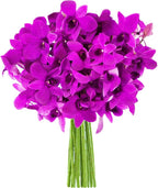 KaBloom PRIME ORVERNIGHT DELIVERY - Fall Collection - The Ultimate Purple Orchid Bouquet of 20 Purple Orchids .Gift for Birthday, Anniversary, Thank You, Valentine, Mother’s Day Fresh Flowers