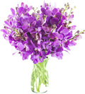 KaBloom - Fuchsia Mokara Orchid Bouquet - With Vase - Fresh Flowers for Birthday, Valentine's & Mother's Day