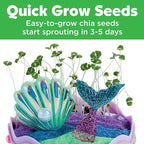 Creativity for Kids Mini Garden: Mermaid Terrarium Kit - Mermaid Gifts for Girls, Crafts and Toys, Stocking Stuffers for Kids (Ages 6+)