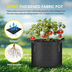 iPower Plant Grow Bag 15 Gallon 6-Pack Heavy Duty Fabric Pots, 300g Thick Nonwoven Fabric Containers Aeration with Nylon Handles, for Planting Vegetables, Fruits, Flowers, Black 2024 Version
