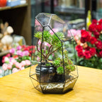 NCYP No Door Large Geometric Terrarium - 16 Inches Irregular Open Glass Terrarium Pot for Tall Cacti, Tall Succulents - Home Garden Tabletop Decoration (NO Plants)
