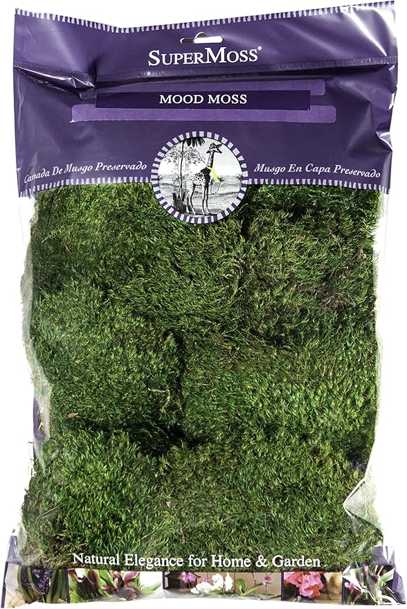 SuperMoss (21539) Mood Moss Preserved, 200 Cubic Inch Bag (Appx. 8oz), Fresh Green