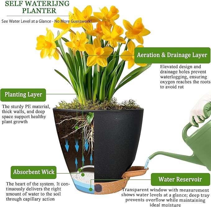 6 Inch Self Watering Pots for Indoor Plants(5-Pack) – Small Plastic Planters with Water Level Window, Drainage Holes & Detachable Trays, Indoor Outdoor Flower Pots for Herbs, Snake,Pothos(Black)