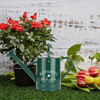 Galvanized Watering Can for Outdoor Indoor Plants, 1 Gallon Decorative Countryside Water Can with Removable Spout, Metal Watering Can for Indoor Plants and Garden Flower (Green)