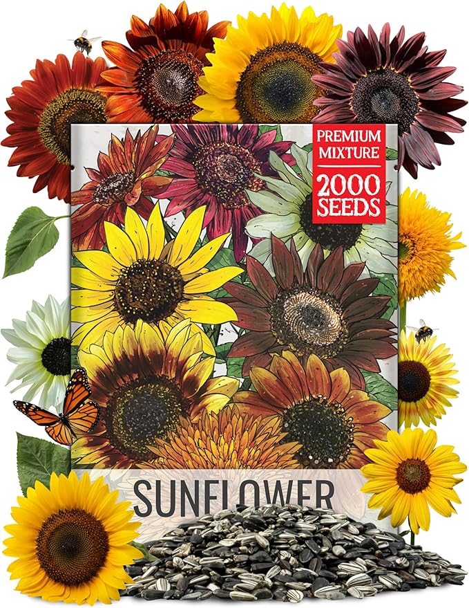 Seed Needs Sunflower Seeds for Planting The Original Crazy Blend | 2 Ounce 15+ Heirloom Varieties Open Pollinated & Untreated | Resealable Bulk Package Multicolored Blooms Flower Seeds