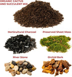 DIY Terrarium and Succulent Planter Kit | Includes Organic Soil Mix, Hoffman Charcoal, Orchid Bark, Decorative River Rock and Moss| Plus Free Nautical Ebook by Joseph Rains