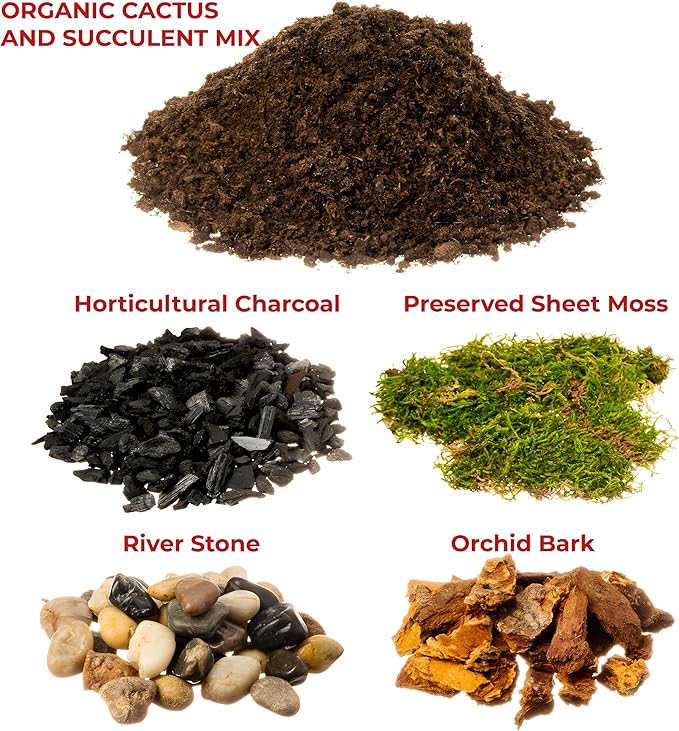DIY Terrarium and Succulent Planter Kit | Includes Organic Soil Mix, Hoffman Charcoal, Orchid Bark, Decorative River Rock and Moss| Plus Free Nautical Ebook by Joseph Rains