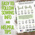 Seed Needs Sweet Marjoram & Italian Oregano Seeds for Planting Fresh Kitchen Herbs - Non-GMO Heirloom & Untreated Perennial Herb Seed to Plant a Culinary Garden Indoors or Outdoors (2 Pack Duo)