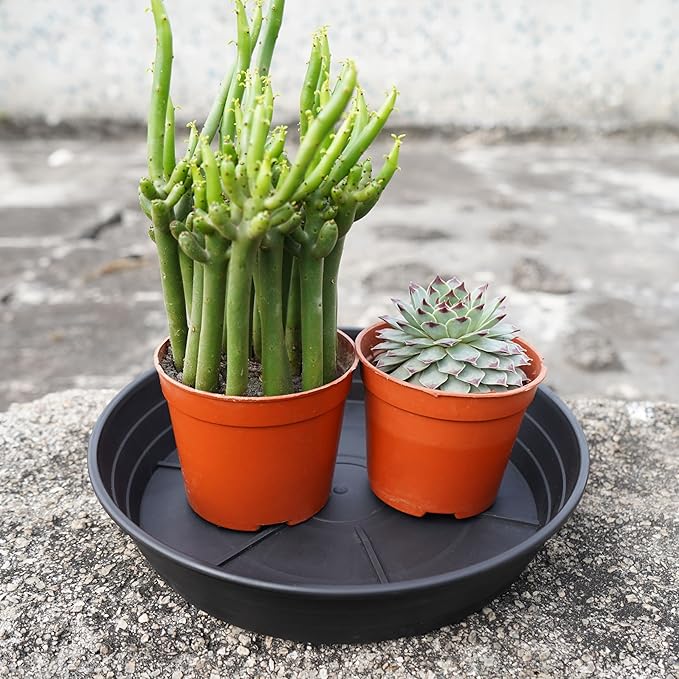 LWALRS 4 Packs 8 Inches Plant Saucer Drip Trays, Round Plastic Plant Pot Saucers Flower Pot Tray for Indoor Outdoor
