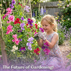 KVITER 50 Sweet Pea Mammoth Mix Seeds (Lathyrus Odoratus) - Sweet Pea Seed Packets, Large Fragrant Cut Flowers, Long Stems - Annual Flower Seeds for Gardens, Trellises, Flower Beds and Containers