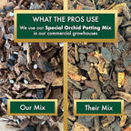 Better-Gro Special Orchid Mix - Premium Grade Orchid Bark Potting Mix for Potting, Repotting, Enhanced Drainage, Air Flow & Root Ventilation, Ideal for Phalaenopsis, Cattleyas, Dendrobiums - 4 Quarts