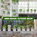 Meekear 10 Herb Seeds Garden Starter Grow Kit with White Pots, Markers, Nutritional Soil, Watering, Herb Clipper, Complete Indoor Potted Plant Growing Set for Kitchen DIY