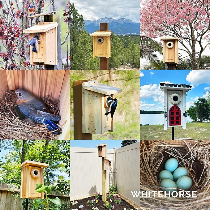 WHITEHORSE Bluebird House - Weatherproof Bird House for Outdoors - Cedar Birdhouse Built to NABS Specs - Nest Box for Western Bluebirds, Tree Swallows, Nuthatches & More (22” Floor)