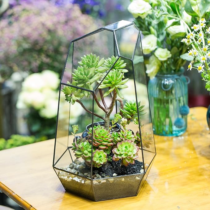 NCYP No Door Large Geometric Terrarium - 16 Inches Irregular Open Glass Terrarium Pot for Tall Cacti, Tall Succulents - Home Garden Tabletop Decoration (NO Plants)