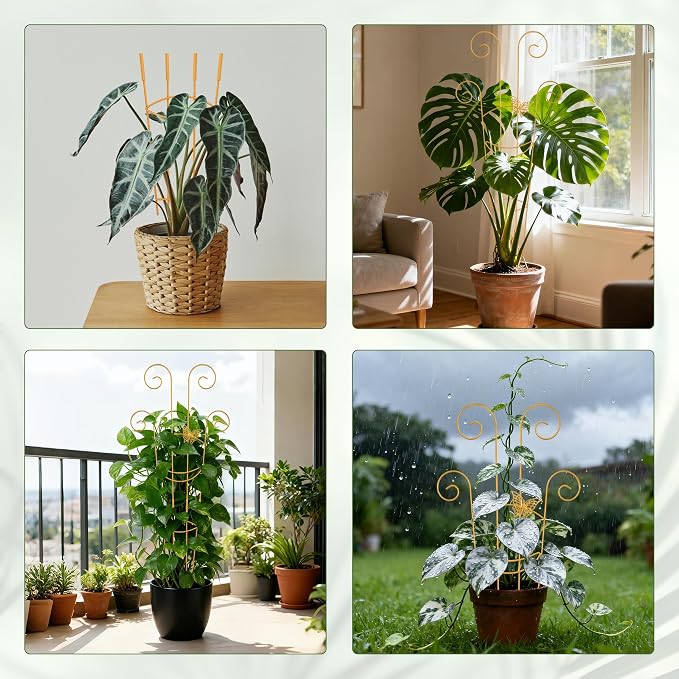 2 Pcs 30'' Monstera Plant Trellis for Pots, Metal Garden Trellis for Outdoor Plant Climbers, Expandable Houseplant Support with Butterfly Design for Monstera Ivy Hoya Vine, Gold