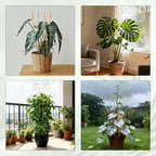 2 Pcs 30'' Monstera Plant Trellis for Pots, Metal Garden Trellis for Outdoor Plant Climbers, Expandable Houseplant Support with Butterfly Design for Monstera Ivy Hoya Vine, Gold