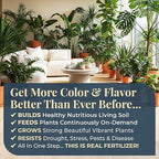 Organic Plant Magic - Fast-Acting Water Soluble Plant Food - All-Purpose Fertilizer Concentrate for Flower, Vegetable, Herb, Fruit Tree, Garden & Indoor Houseplants [One 1/2 lb Bag]