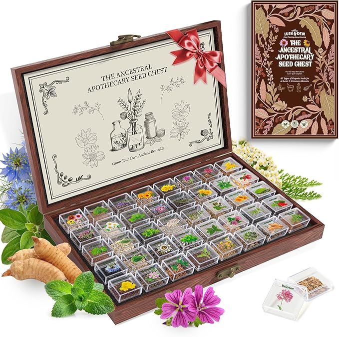 Lush&Dew Ancestral Apothecary Medicinal Tea Herb Seed Chest, 36,000+ Non-GMO Survival Seed Kit, Gardening Gifts for Women Men, 40 Types Heirloom Garden Seeds for Planting Herbs, Raised Bed Windowsill