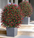 26'' Artificial Boxwood Topiary Trees with Lavender Flowers 2 Pack Fake Plants for Outdoor Indoor Artificial Shrubs with Metal Ground Spike UV Resistant Fake Bushes for Front Porch Garden, Red