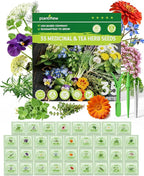 Medicinal & Tea Herb Seeds for Planting - 35 Non-GMO Heirloom Variety Pack for Indoor/Outdoor Garden: Anise, Bergamot, Borage, Fennel, Chamomile, Dandelion, Oregano, Hyssop, Catnip Seeds & More