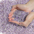 T4U Tumbled Chips Stones Crushed Crystal Quartz 1 LB, Irregular Shaped Gravels Pebbles Healing Stones, DIY Smoothed Rock for Potted Plant,Resin Art,Vase Fillers Aquarium Gravel Rocks (Amethyst)