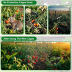 winemana 12 Set Garden Plant Protector Cage,36 Pcs 16x12 in Metal Wire Protectors for Plants Protection Cages with Stakes Ties Animals Barrier to Keep Rabbit Chicken Away from Flower Vegetables(Black)
