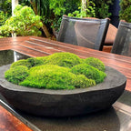 Preserved Pole Moss Pillow Bun Cushion Natural Green Decorative Real Natural Green DIY Kit Terrariums Gardenning Art Wall Decor Florist Decor Easter Table Wedding(1.5 sq.ft, Green-B)