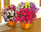 Artificial Faux Flowers for Outdoors, 12 Bundles Artificial Plants Outdoor UV Resistant, Fake Morning Glory Silk Flowers for Outside Planter Porch Patio Yard-Rose Red