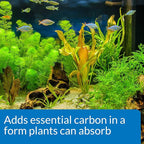 API Co2 Booster Freshwater Aquarium Plant Treatment 16 oz Bottle, Brown