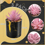 Der Rose 3 Pack Fake Plants Succulents Plants Artificial in Black Pots for Pink Room Decor Aesthetic Home Office Desk Accessories for Women