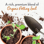 Whitney Farms Organic Potting Soil - Natural Indoor and Outdoor Container Mix, Organic Potting Soil for Vegetables, Herbs and Flowers, Feeds Plants up to 2 Months, 8 qt.