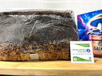 Magical 5 lb Mushroom All in One Grow Bag for Manure Loving Mushrooms with Injection Port and 0.2 Micron Breathable Filter