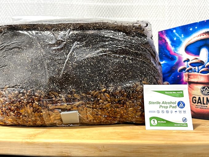 Magical 5 lb Mushroom All in One Grow Bag for Manure Loving Mushrooms with Injection Port and 0.2 Micron Breathable Filter
