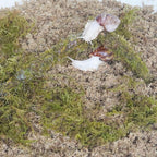 Snail Terrarium Accessory Kit 3PCS, Includes Layer Moisture-Retaining Substrate, Top Layer Moisture-Retaining Substrate, Climbing Toy