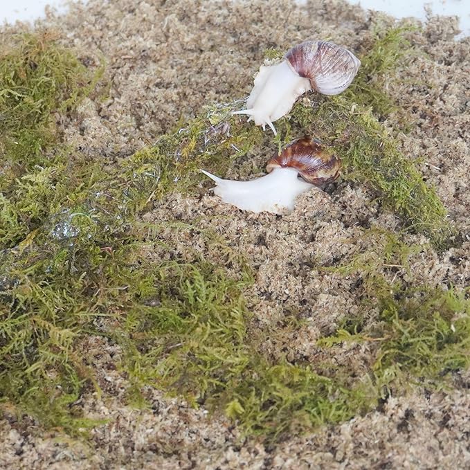 Snail Terrarium Accessory Kit 3PCS, Includes Layer Moisture-Retaining Substrate, Top Layer Moisture-Retaining Substrate, Climbing Toy