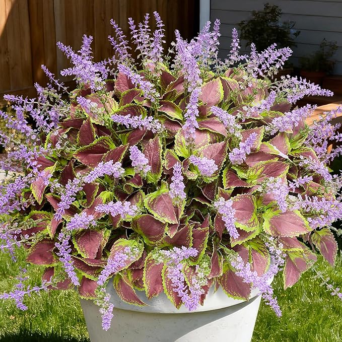 12 Bundles Artificial Coleus Flowers | UV Resistant No Fade Silk Faux Plants | Spring Summer Outdoor Fake Greenery for Garden Patio Planters Front Porch Pathway Decor (Purple)
