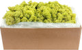 SuperMoss 59834 21497 7 Moss, Appx. 10 lb Bulk Case, Chartreuse