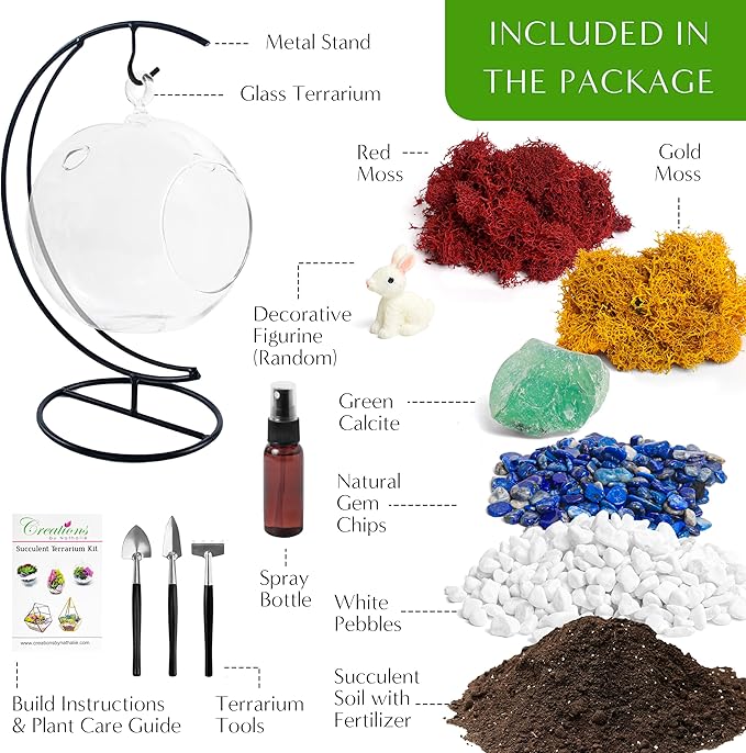 Creations by Nathalie DIY 5" DIY Globe Terrarium Kit - Build Your Own Glass Terrarium for Adults & Teens with Moss, Crystals, Tools & Decorative Figurine - Mini Ecosystem (Plant Not Included)