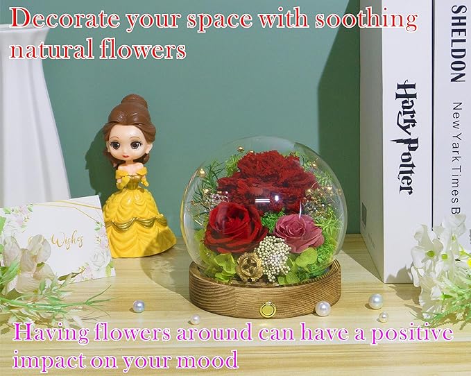 Valley of Rain & Forest Long-Lasting Real Flowers, Unique Floral Gift For you to send Love for All Occasions, for Indoor Decoration (Red Carnation Arrangement)