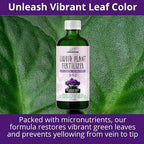 GARDENWISE 3-1-2 African Violet Fertilizer for Indoor Plants: Liquid Fertilizer with Essential Micronutrients Drops - Plant Food for African Violets (32 OZ)