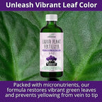 GARDENWISE 3-1-2 African Violet Fertilizer for Indoor Plants: Liquid Fertilizer with Essential Micronutrients Drops - Plant Food for African Violets (8 oz)