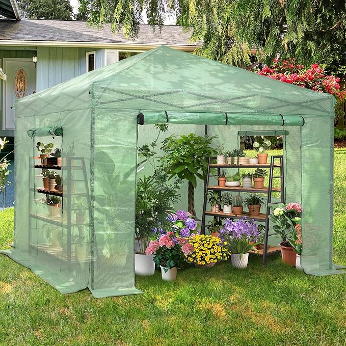 GDY 8X8FT Instant Pop-up Greenhouse, Walk-in Plant Gardening Green House with PE Cover/Roll-Up Zipper Doors/Side Windows for Indoor, Backyard and Outside, Green/Clear.