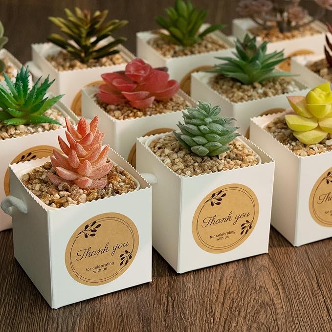 Temlum 2.5 Inch Succulent Wrap Bags (Fits 2.5″ Pots) with Thank You & Let Love Grow Stickers, Small Gift Box for Wedding, Baby Shower, Succulent Party Favors for Guests (White 40pcs)
